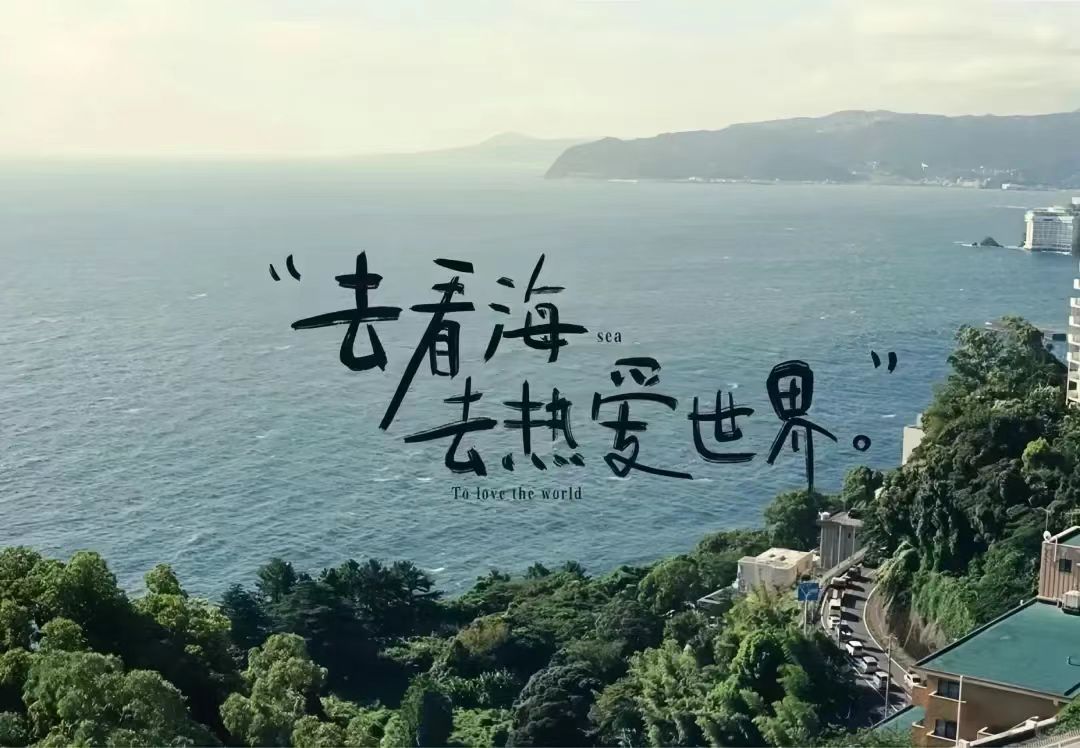 我们总在4K屏幕前欣赏别人的生活，却把自己活成了480P的模糊版本。